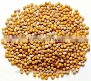 Yellow Mustard Seeds Whole