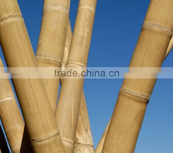 Factory Direct Suppling Popular Decorate Garden Nature Eco-friendly Rolled Threaded Bamboo Fence
