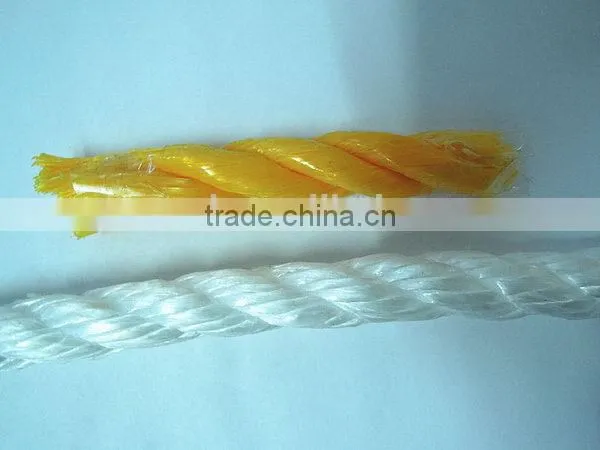Cheap Most Popular Jacquard Nylon Waist Cord photo-6