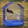 Parrot Cage