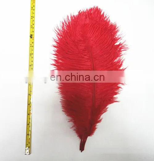 Ostrich Feather photo-6