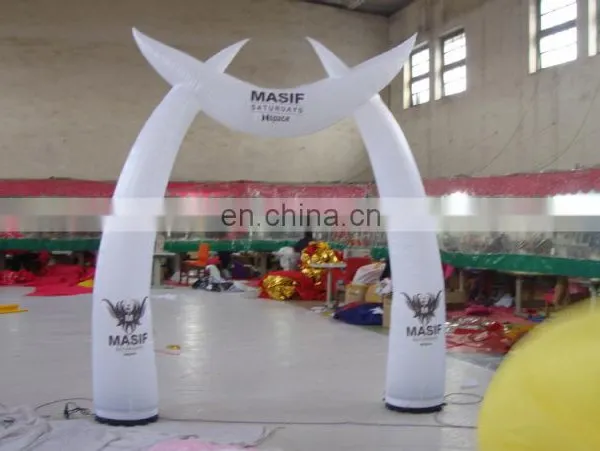 ACe--- Daming &waha ----inflatable Pillar photo-6