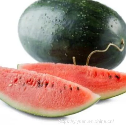Watermelon F1 Hybrid Sweet Melon Seeds Fruit Seeds No.89 photo-3