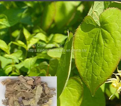 Natural 100% Pure Icariin Epimedium Extract/Epimedium Sagittatum Extract