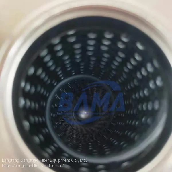 BANGMAO Replacement Pall Hydraulic Oil Filter Element HC2233FKT13H Complete Models photo-5