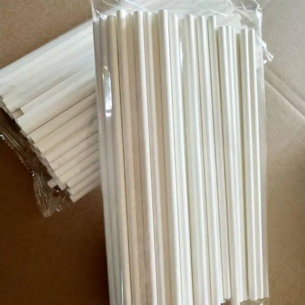 High Speed Full Servo Straw Maker Machine Automatic Straw Machine photo-4