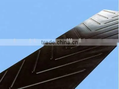 Patterned Conveyor Belt China photo-2