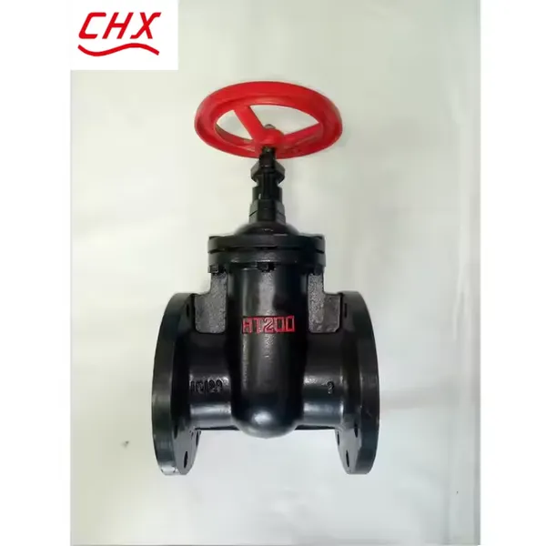 Factory Supply BS Z45T Flange Hard /Soft Seal Gate Valve for Water Cast Bronze/Stainless Steel Disc Gray Cast Ductile Iron photo-3