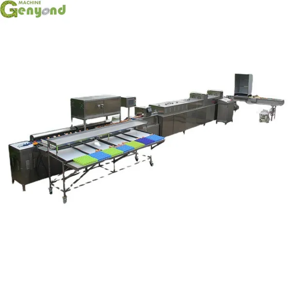 Shanghai Factory Eggs Washing and Dry Machine Egg Shape Wash Basin Zenyer Egg Wash Machine