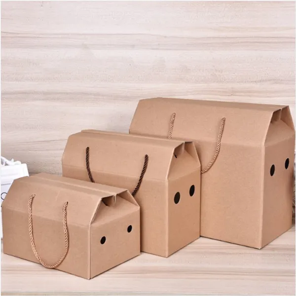 Kraft Paper Grey Bag for Garment in Shenzhen photo-5