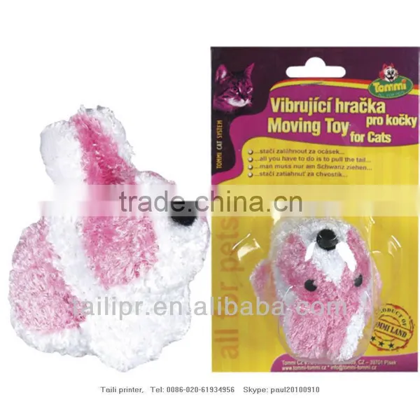 Blister Packaging,blister Card, Blister / TLP13120305