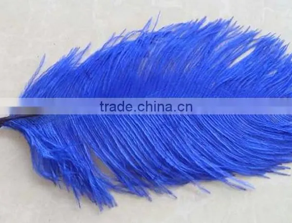 High Quality Real Natural Ostrich Feathers, Decorative Feathers Wholesale photo-3