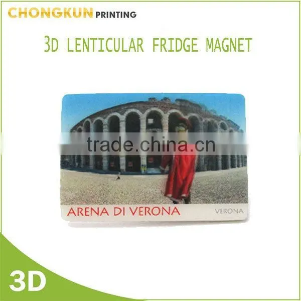 Cheap Photo Fridge Magnets, Custom Lenticular Fridge Magnet photo-3