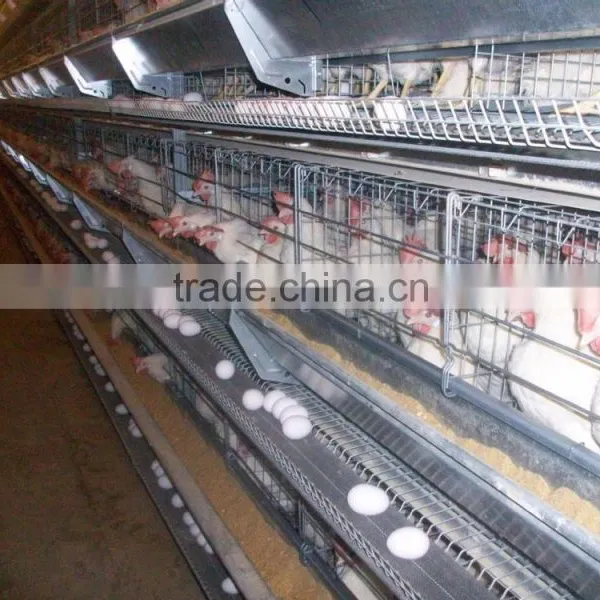 Birdsitter ISO9001 Qualified Aluminum-Zinc Alloy Poultry Farm Chicken Cage Quality Choice photo-2
