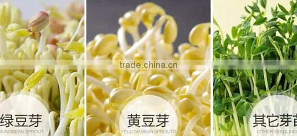 Black Bean Sprout Machine/peanut/ photo-5