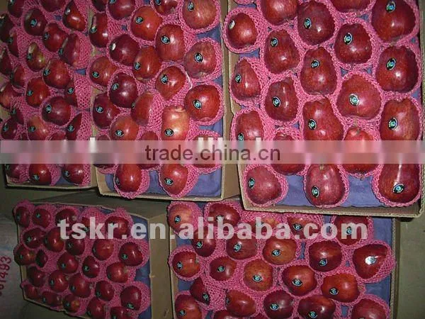 Huaniu Apple Fruit