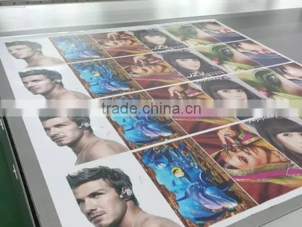Lamp Cloth Roll and Hybrid Printer Advertisement Printing Machine Industry High Speed photo-6
