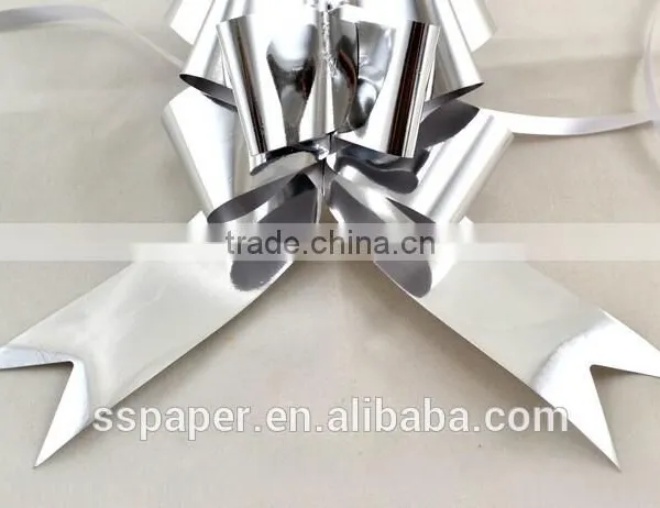 2016 Hotsale Product With Stock Silk Plastic Ribbon for Retailer photo-4