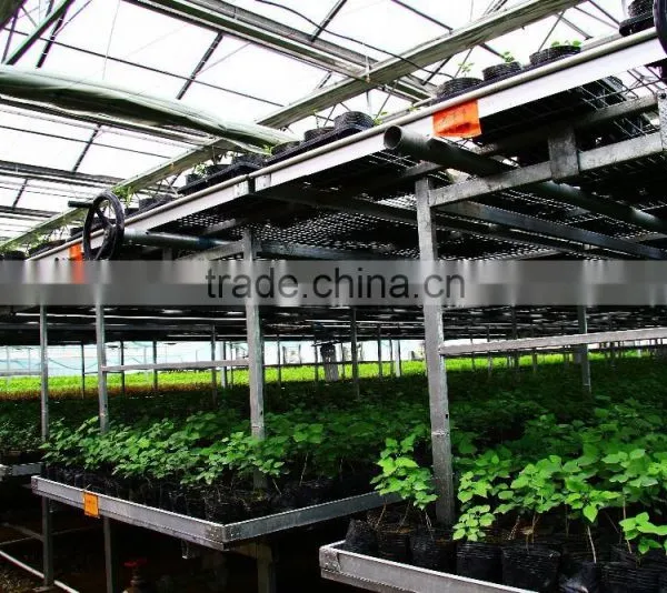 Polycarbonate Sheet Greenhouse photo-3