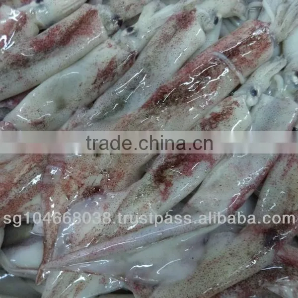 Frozen Arrow Squid Whole Round photo-2