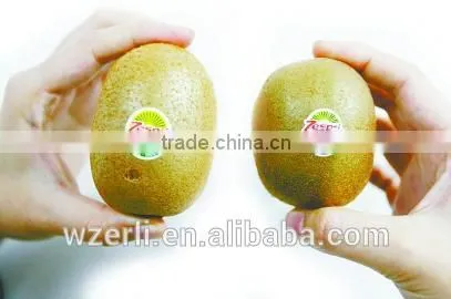 2016 Hot Sale Custom Printed Adhesive Packaging Sticker Fruit Label photo-2