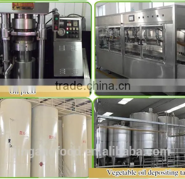 China's High Quality Sesame Oil/ Refined Pure Gingelly Oil Quality Choice Supplier's Choice photo-5