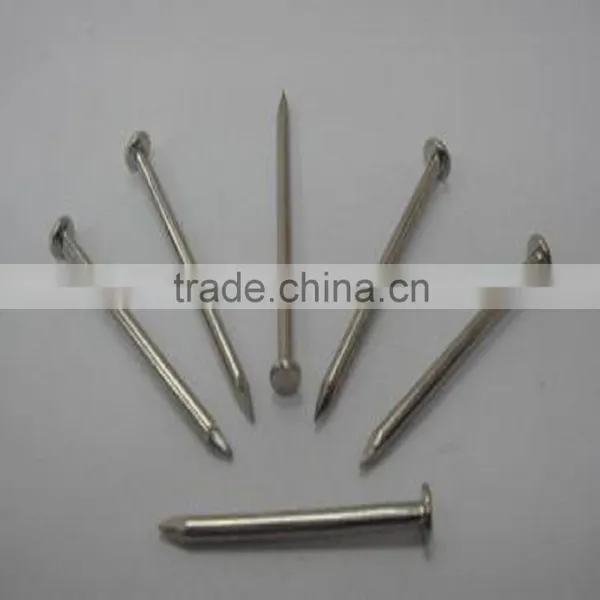 From FACTORY High Quality Common Nails photo-5
