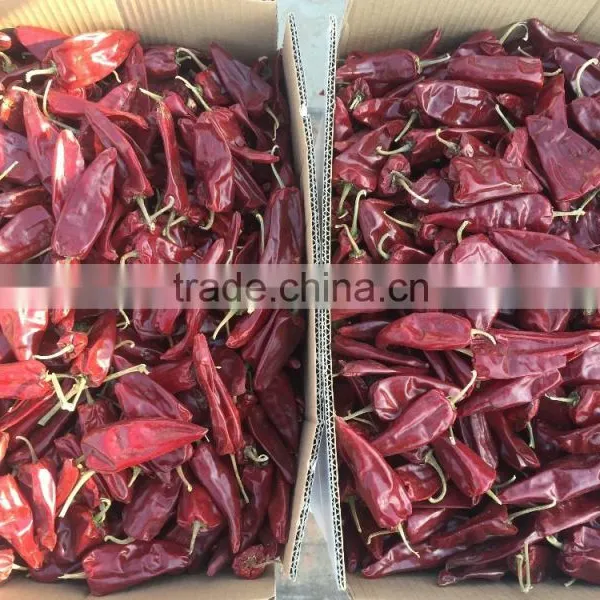 DryRed Chili photo-3