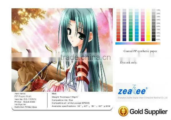 Poster Paper