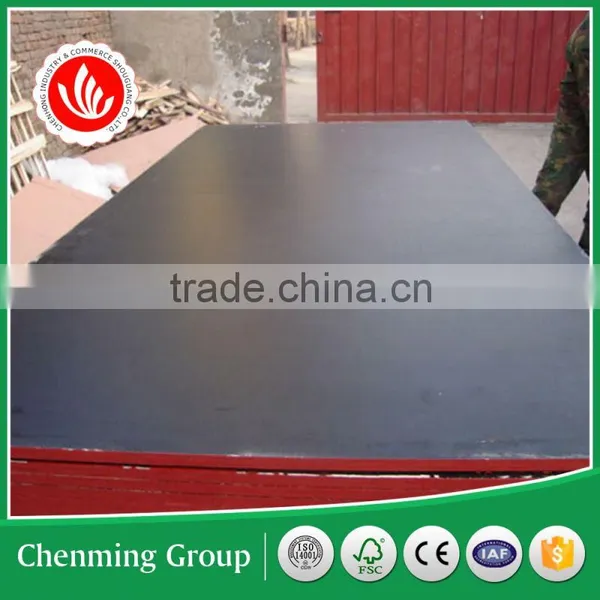 Poplar Main Material 18mm Film Faced Plywood With Brand Name photo-4