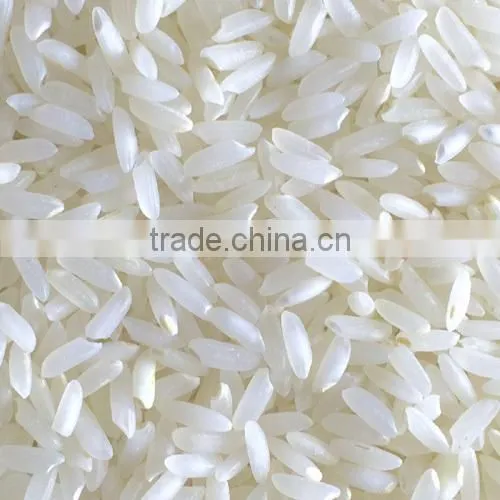Indain Short Grain 5% Broken White Rice