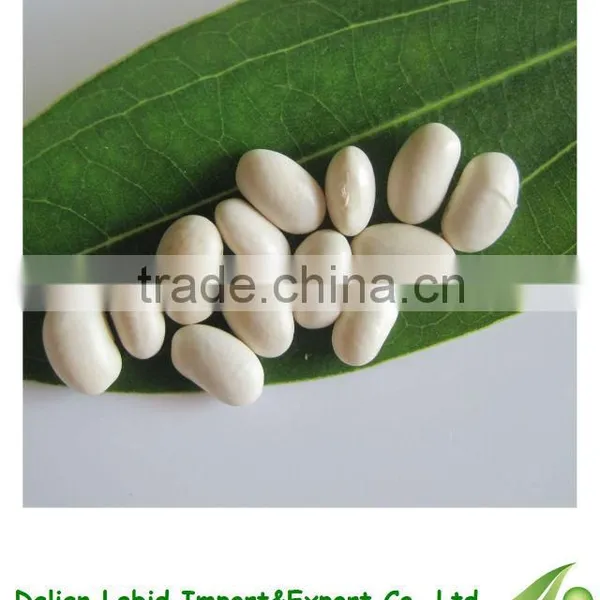 2016 Crop Dry Export Broad Beans Japanese Type For Sale