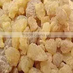 No. 1 Quality of Olibanum Oil / Olibanum Essential Oil / Bulk Olibanum Oil