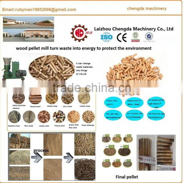 Feed Processing Machines Cattle Chicken Rabbit Animal Feed Pellet Machine Price photo-2