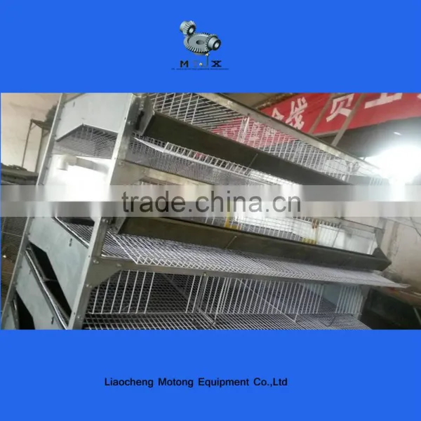 Automatic Quail Layer Cage photo-3