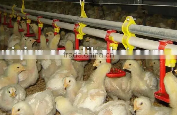 360 Degree Water Nipple Drinker for Chicken photo-3