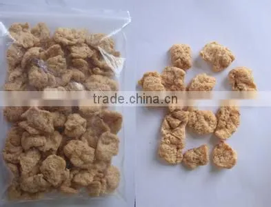 India Stylish 500kg/h Textured Soybean Protein Making Extruder Machine photo-2