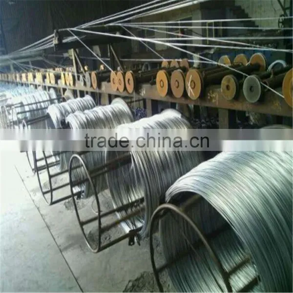 Galvanized Wire BWG 12 Galvanized Wire 1008/low Price Galvanized Wire photo-4
