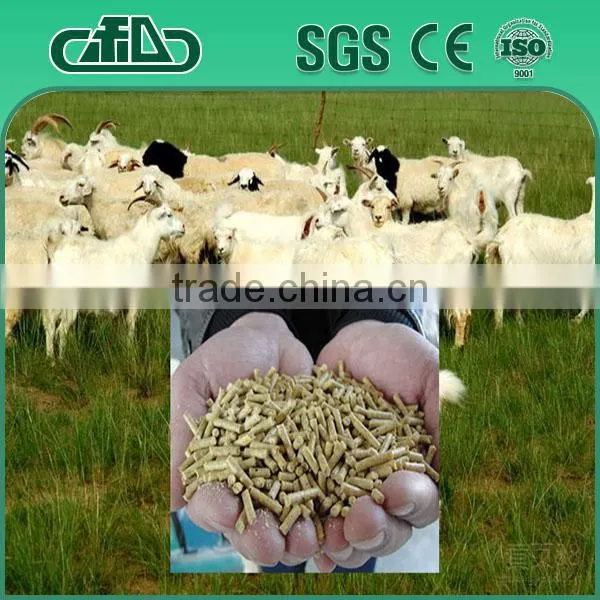 International Standard Sheep Feed Pellet Crusher Machine photo-2