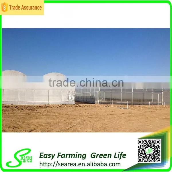 Hot Sale Small Size Agriculture Solar Tent/green House for Sale photo-4