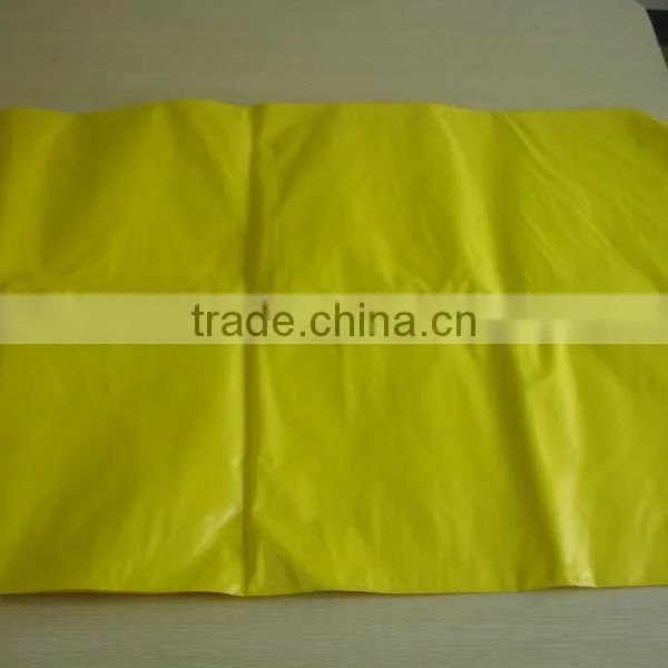 Poly Bag PE Bag and Shopping Plastic Bag photo-4