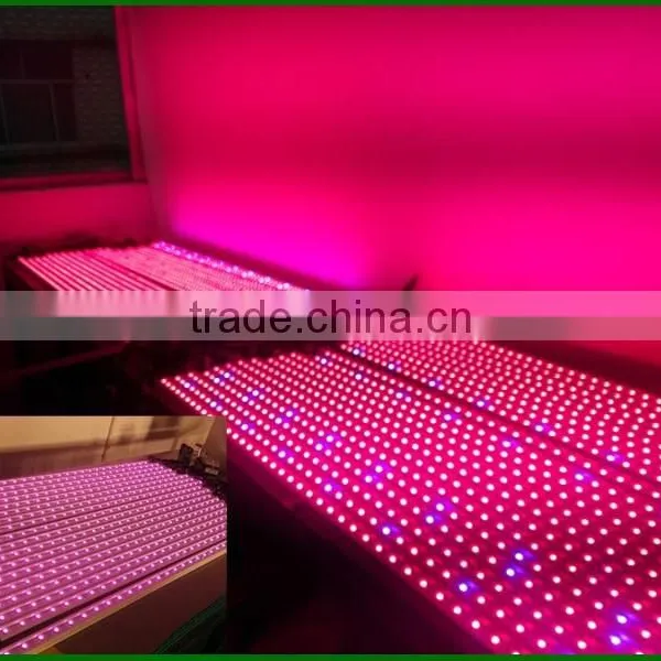 Hot Seller 20w Cheap Indoor Led Grow Lights That Work photo-3