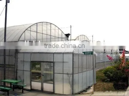 Vegetable Greenhouses for Sale 200 Micron Greenhouse Film/vegetable Seeds Greenhouse photo-5