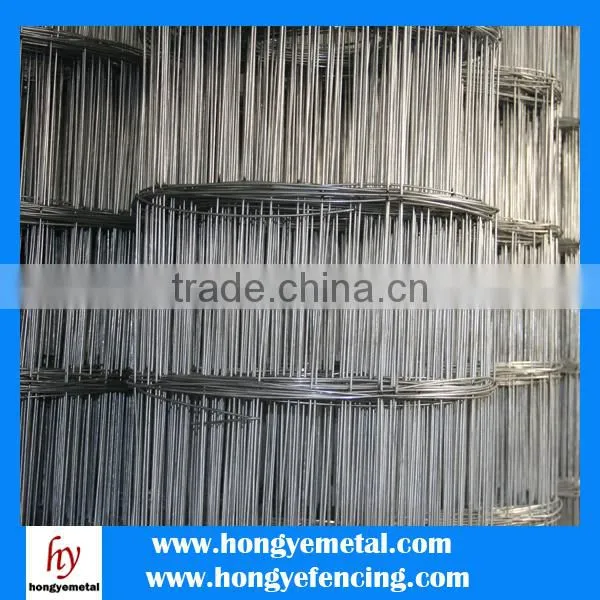 Stainless Steel Wire,Galvanized Iron Wire Material And Welded Mesh Type 6x6 Concrete Reinforcing Welded Wire Mesh photo-4
