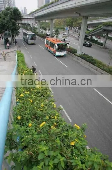 Water Storage Type Rectangular Planter for Road Greening photo-3