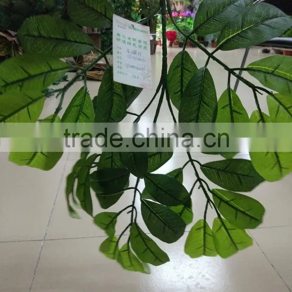 SJ070905 Artificial Longan Leaves for Longan Tree Making/artificial Tree Leave Craft photo-5
