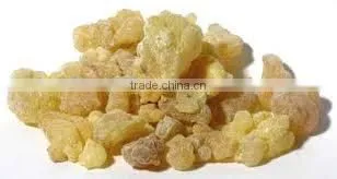 Boswellia Oil photo-3