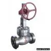 Sell Gear Operation High Pressure Globe Valve