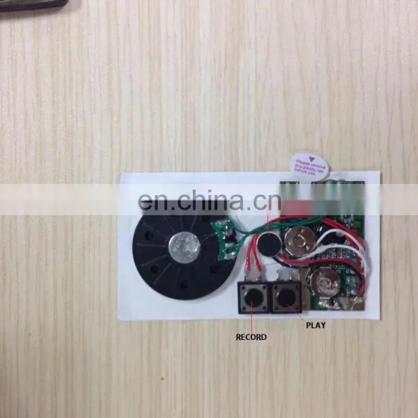 Preloaded Waterproof Voice Module With Squeeze Button photo-6