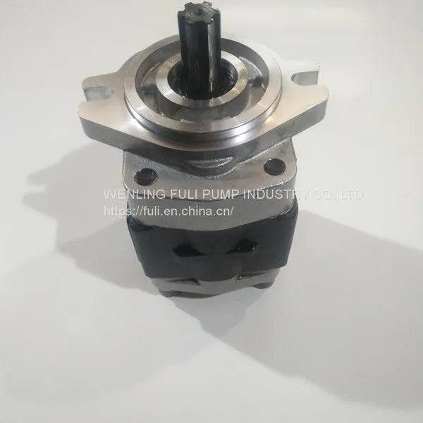 Fork Lift Pump Hydraulic Gear Pump for Tractor Pump